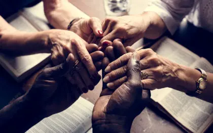 unity in diversity