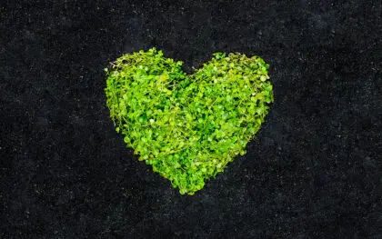 growing to love