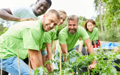 Spirit of wisdom