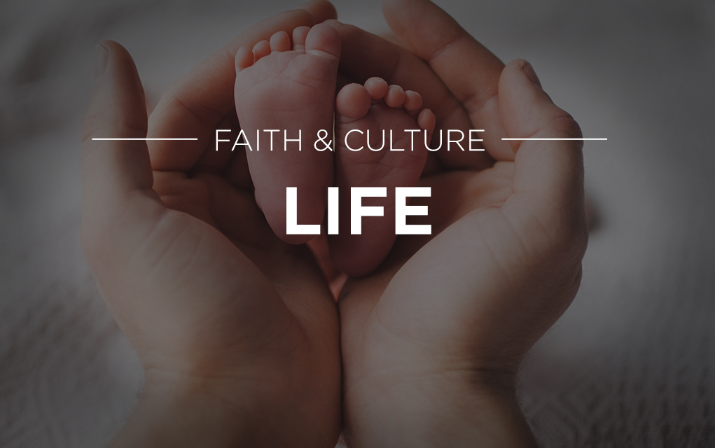 Herbie Newell Caring for ALL Life