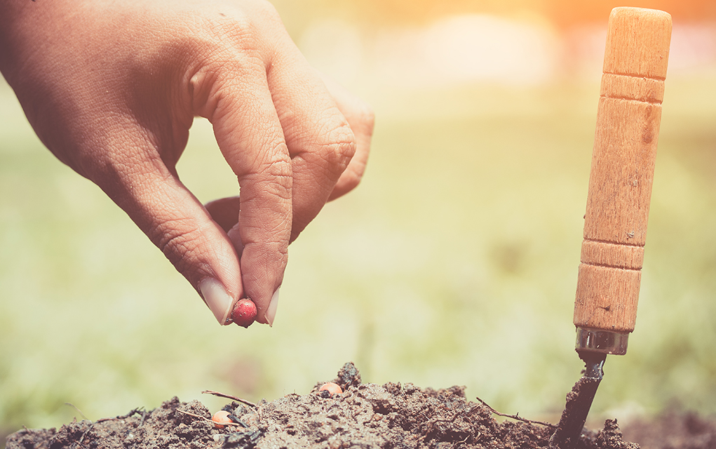 What Will Renewal and Revival Require?