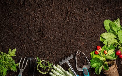 church planting strategies