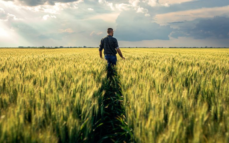 Everyone Lives, Everyone Dies—But Not Everyone Walks with God
