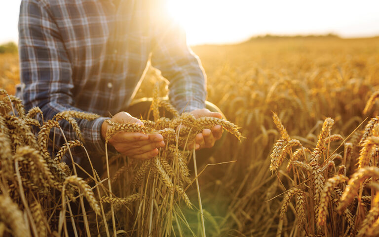 How Christian Leaders Can Grow, Thrive and Finish Well